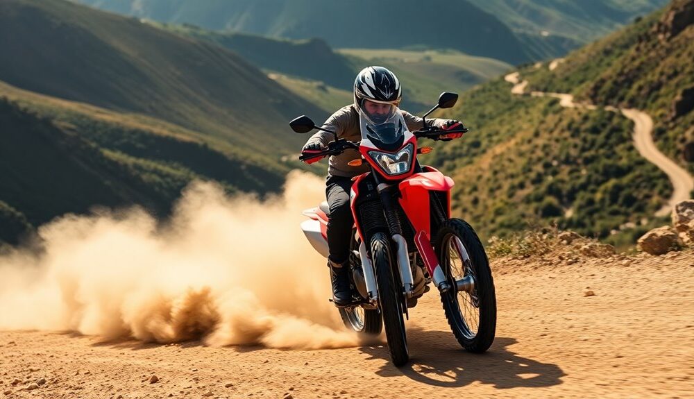 dual sport motorcycle speed performance