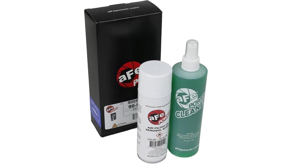 vehicle air filter cleaning