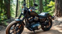 harley v twin trail adaptations