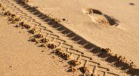 avoid crashing in sand