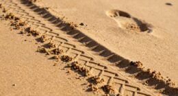 avoid crashing in sand