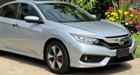 consistent maintenance ensures longevity