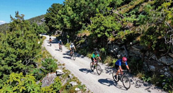 drone safety legal guidelines