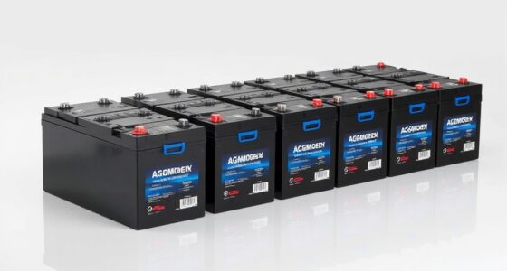 top 14 100ah agm batteries