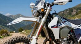 top adventure motorcycle stabilizers