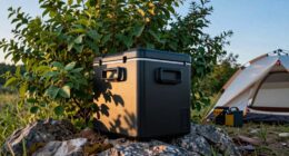 top camping portable coolers