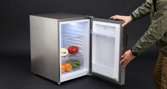 12 Best 12V Fridge Freezer for Overlanding in 2026