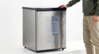 8 Best Dual-Zone 12V Fridge Freezers in 2026