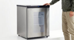 8 Best Dual-Zone 12V Fridge Freezers in 2026