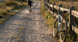 belt drive durability questioned