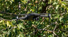 drone crashes in trees