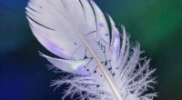 geometry reveals featherbed truth