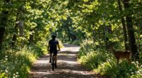 silent rides alter wildlife