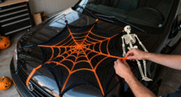9 Best Halloween Car Decorations for Trunk-or-Treat in 2027